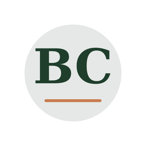 Bond Chimney Services logo